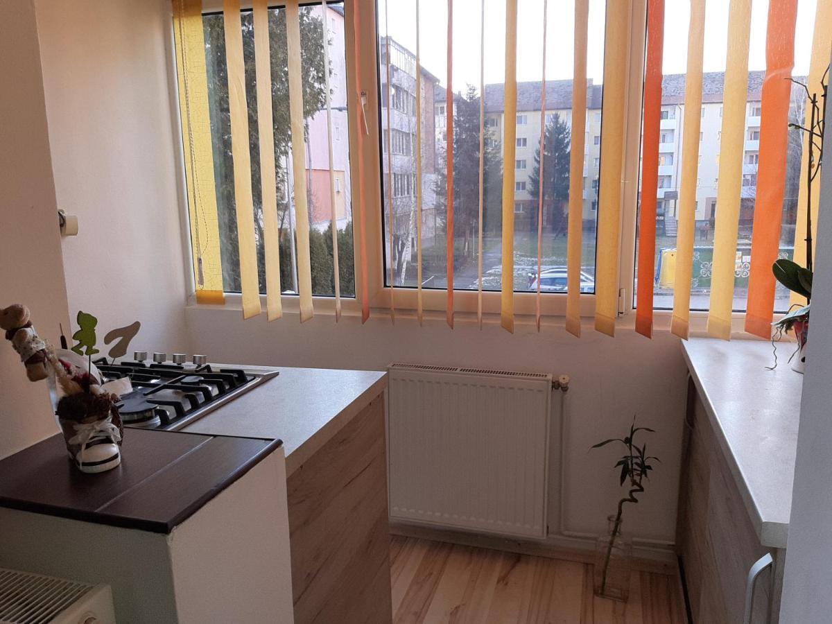 Sepsi 4You Apartment Sfântu-Gheorghe 外观 照片