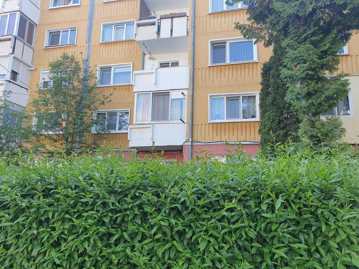 Sepsi 4You Apartment Sfântu-Gheorghe 外观 照片