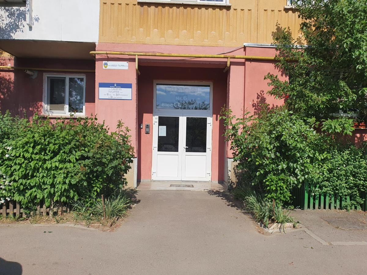 Sepsi 4You Apartment Sfântu-Gheorghe 外观 照片